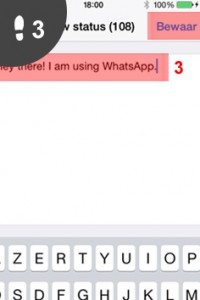 whatsapp status veranderen 3